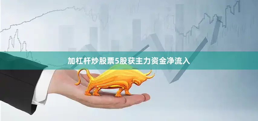 加杠杆炒股票5股获主力资金净流入