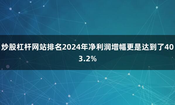 炒股杠杆网站排名2024年净利润增幅更是达到了403.2%