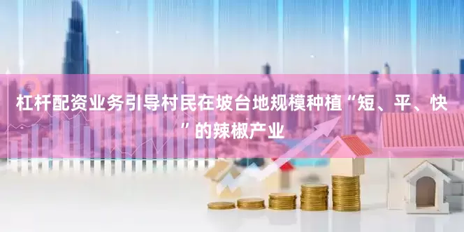 杠杆配资业务引导村民在坡台地规模种植“短、平、快”的辣椒产业