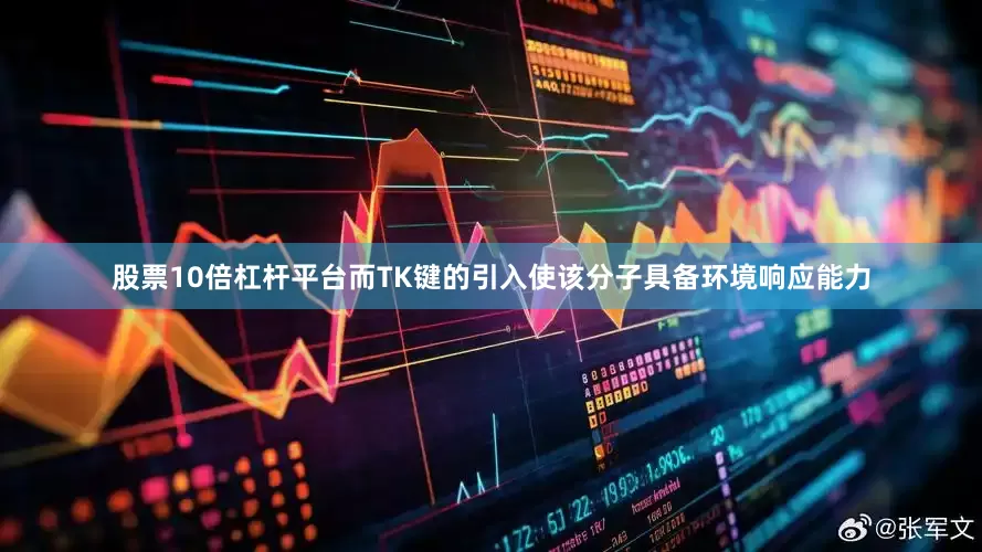 股票10倍杠杆平台而TK键的引入使该分子具备环境响应能力